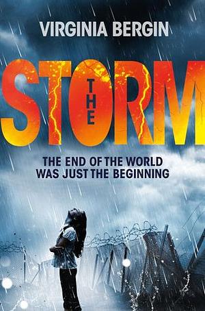 The Storm by Virginia Bergin