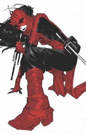 Daredevil: Woman Without Fear by Chip Zdarsky