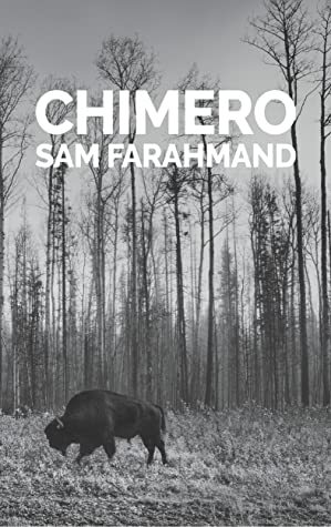 Chimero by Sam Farahmand