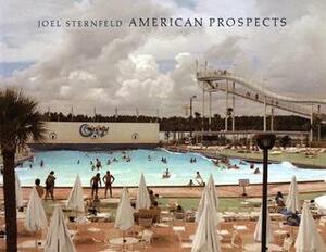 American Prospects by Katy Siegel, Joel Sternfeld