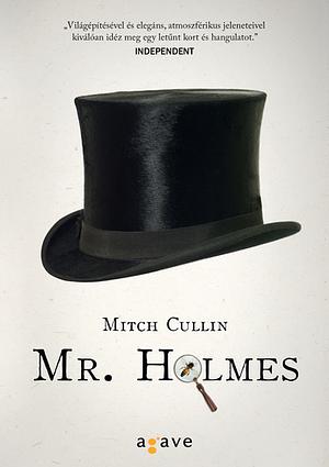 Mr. Holmes by Mitch Cullin