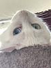 nanine17's profile picture