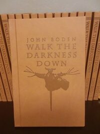 Walk The Darkness Down by John Boden