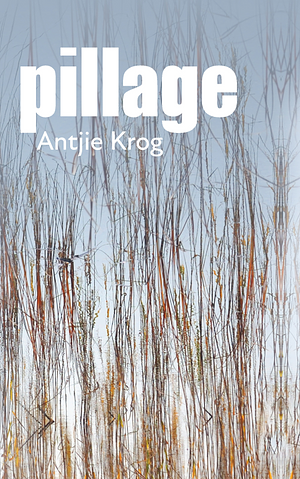 Pillage by Antjie Krog