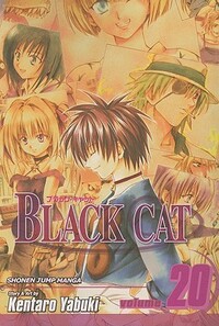 Black Cat, Volume 20 by Kentaro Yabuki