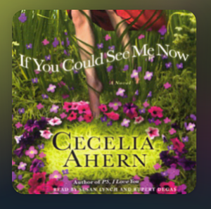 If You Could See Me Now by Cecelia Ahern