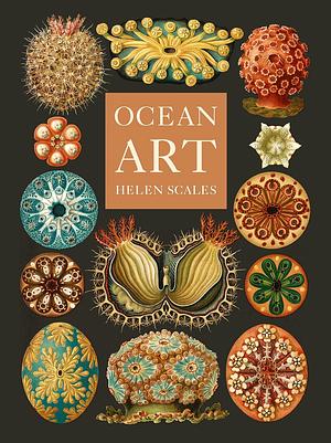 Ocean Art: From the Shore to the Deep by Helen Scales