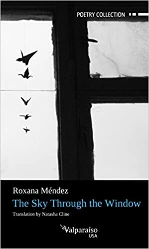 THE SKY THROUGH THE WINDOW by Roxana Mendez