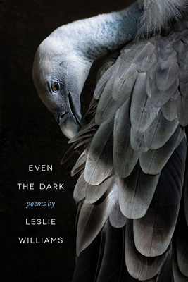 Even the Dark by Leslie Williams