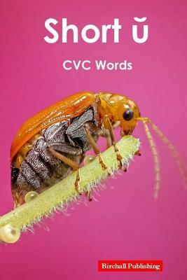 Vowels: Short u Vowel (CVC Words) by Birchall Publishing