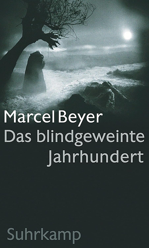 Das blindgeweinte Jahrhundert by Marcel Beyer