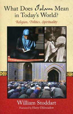 What Does Islam Mean in Today's World?: Religion, Politics, Spirituality by William Stoddart