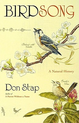 Birdsong by Don Stap