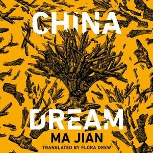 China Dream by Ma Jian