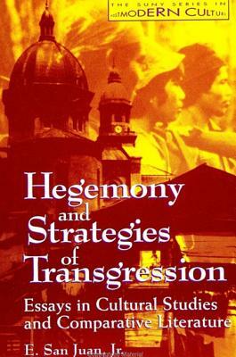Hegemony and Strategies of Transgression: Essays in Cultural Studies and Comparative Literature by E. San Juan Jr