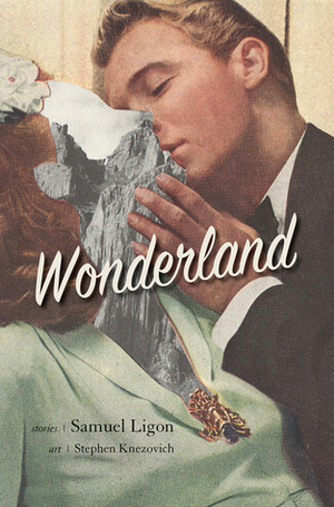 Wonderland: Stories by Stephen Knezovich, Samuel Ligon