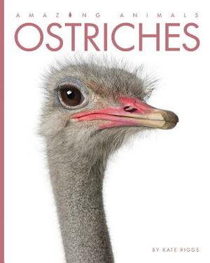 Ostriches by Kate Riggs