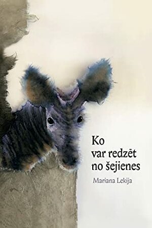 Ko var redzēt no šejienes by Mariana Lekija