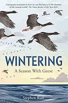 Wintering: A Season with Geese by Stephen Rutt