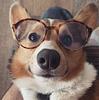 jasper_a's profile picture
