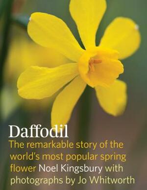 Daffodil: The Remarkable Story of the World's Most Popular Spring Flower by Noel Kingsbury