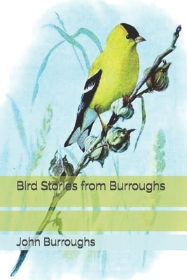 Bird Stories from Burroughs by John Burroughs