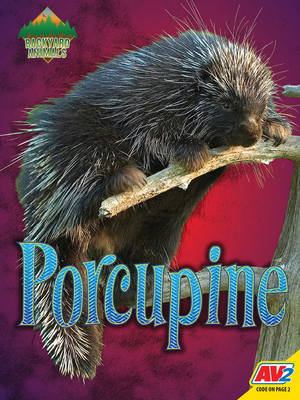 Porcupine by Christine Webster