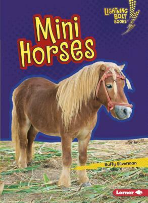 Mini Horses by Buffy Silverman