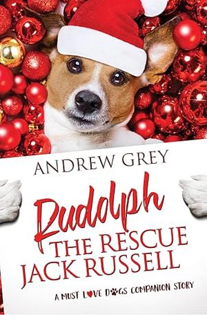 Rudolph the Rescue Jack Russell by Andrew Grey