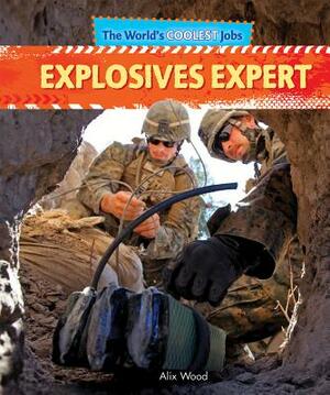 Explosives Expert by Alix Wood