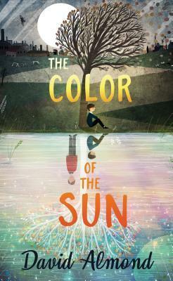 The Color of the Sun by David Almond
