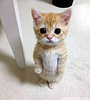 aaandy484's profile picture