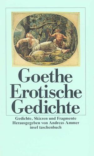 Erotische Gedichte: Gedichte, Skizzen Und Fragmente by Andreas Ammer, Johann Wolfgang von Goethe