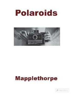 Polaroids by Sylvia Wolf, Robert Mapplethorpe