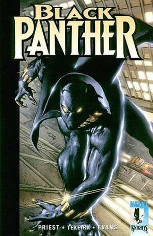 Black Panther: The Client by Mark Texeira, Christopher J. Priest