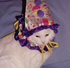 7bookrats's profile picture