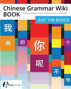 Chinese Grammar Wiki BOOK: Just the Basics by John Pasden