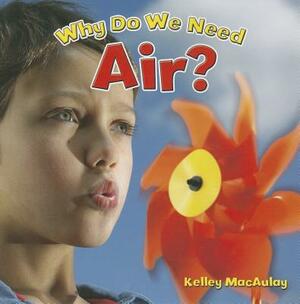 Why Do We Need Air? by Kelley MacAulay