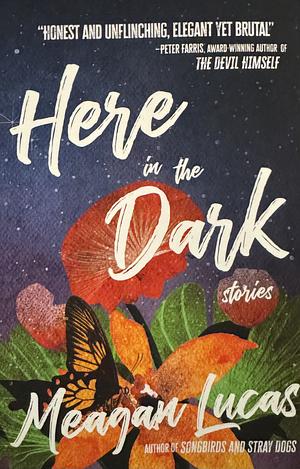 Here in the Dark: Stories by Meagan Lucas