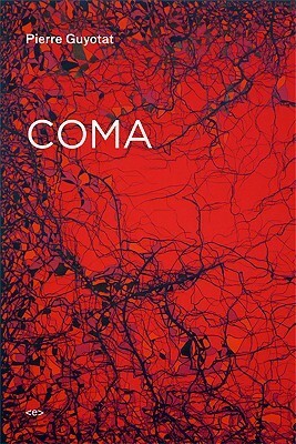 Coma by Pierre Guyotat