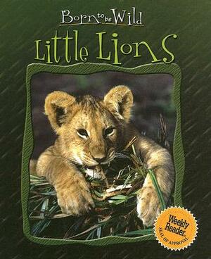 Little Lions by Violette Rennert