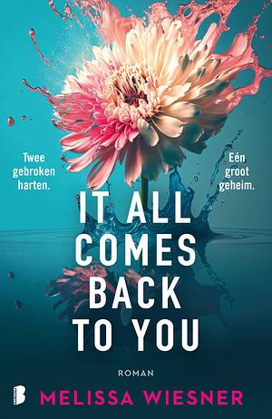 It All Comes Back To You by Melissa Wiesner