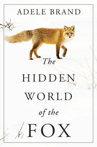 The Hidden World of the Fox by Adele Brand