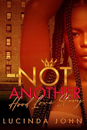 Not Another Hood Love Story by Lucinda John