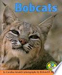 Bobcats by Caroline Arnold