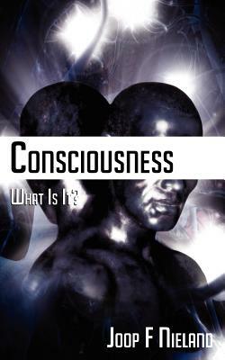 Conciousness: What Is It? by Joop F. Nieland