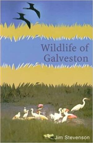 Wildlife of Galveston by Jim Stevenson