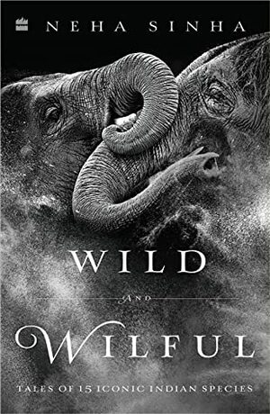 Wild And Wilful by Neha Sinha