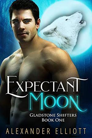 Expectant Moon by Alexander Elliott