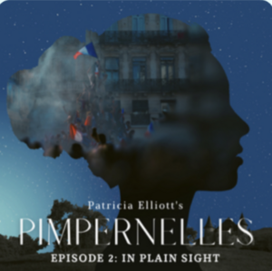 Pimpernelles episode 2: In Plain Sight by Patricia Elliot